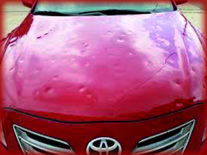 tirabolli1